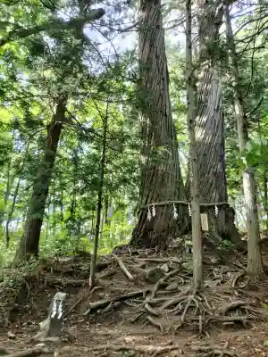 戸隠神社火之御子社(長野県)