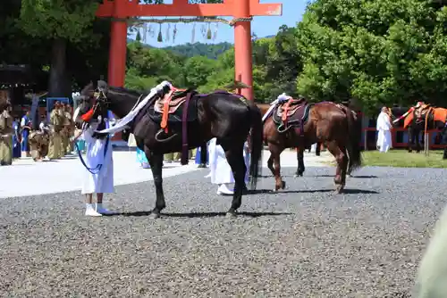 賀茂別雷神社（上賀茂神社）(京都府)