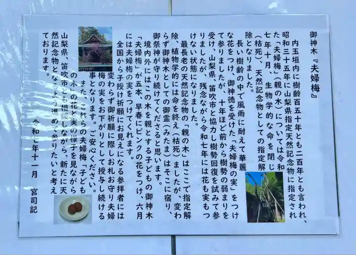 甲斐國一宮 浅間神社(山梨県)