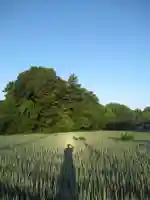 尾崎天神宮(千葉県)