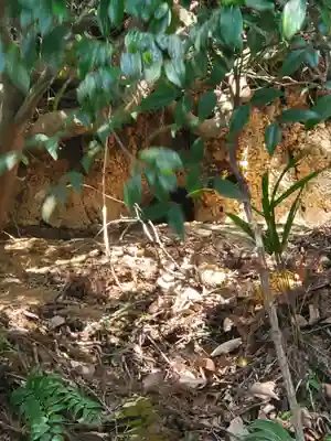 御榊山神社(栃木県)