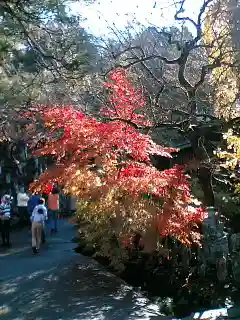 金昌寺の自然