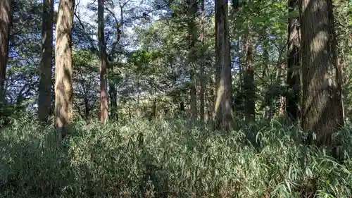 末廣神社の自然