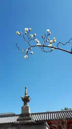 蓮華王院（三十三間堂）(京都府)