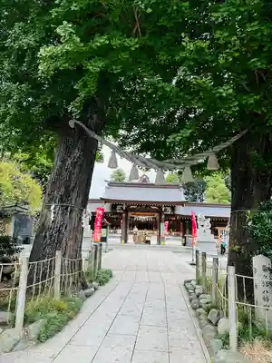 亀ケ池八幡宮(神奈川県)