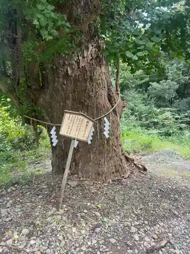 熊野那智神社(宮城県)