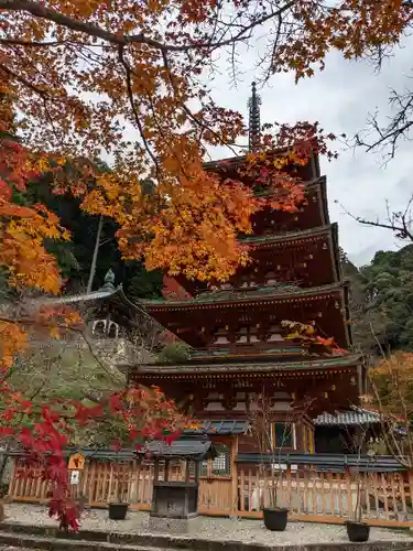 長谷寺のその他建物
