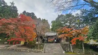 法輪寺(京都府)
