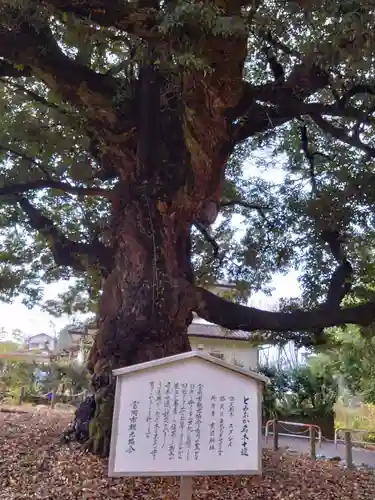一之宮貫前神社(群馬県)