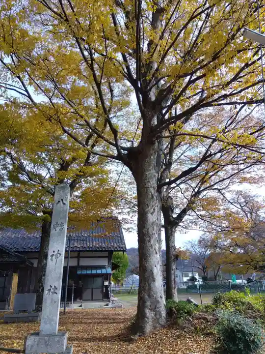 八幡神社(滋賀県)