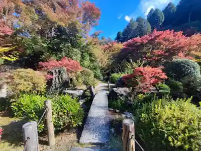 三室戸寺(京都府)