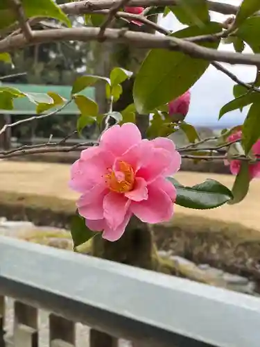 椿大神社(三重県)