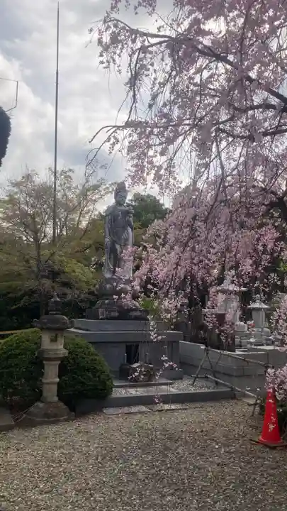 禪定院(東京都)