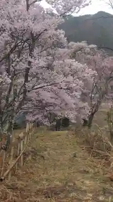 勝間薬師堂(長野県)