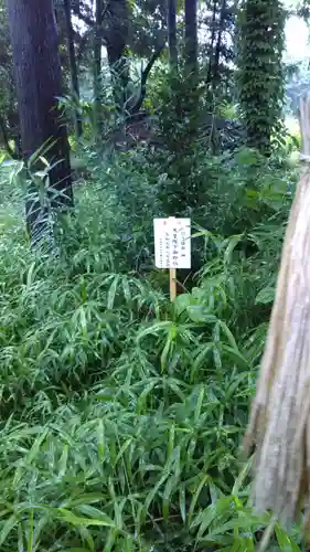 神社(名称不明)の周辺