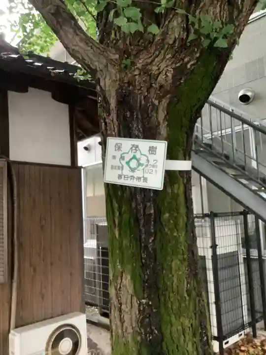 神明社(八事町)の自然