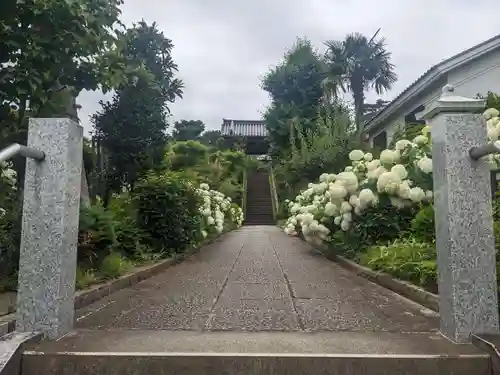 香林寺(神奈川県)