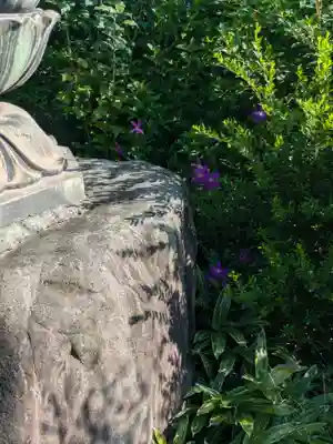 長久院(東京都)