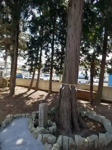 生出塚神社の自然