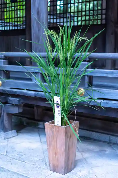 諏訪大社下社春宮(長野県)