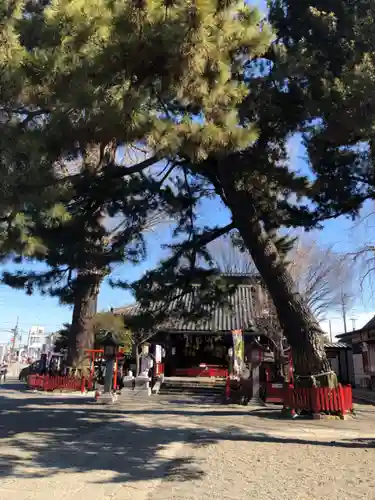 鴻神社の本殿・本堂