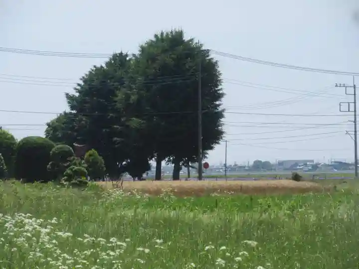 鷲神社 (埼玉県)