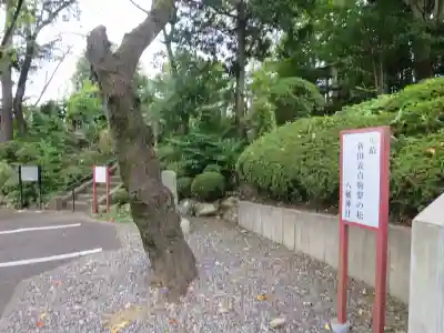 狭山八幡神社(埼玉県)