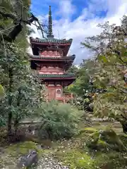 三室戸寺(京都府)