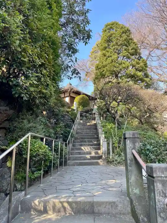東長谷寺 薬王院の{uncategorized: "未分類", other: "その他", undefined: "問題あり", building: "その他建物", grave: "お墓", sacred_gate: "鳥居", guardian: "狛犬", statue: "像", buddha: "仏像", history: "歴史", nature: "自然", garden: "庭園", animal: "動物", pagoda: "塔", temizu: "手水舎", mountain_gate: "山門・神門", sanctuary: "本殿・本堂", subordinate: "末社・摂社", art: "芸術", scenery: "景色", jizo: "地蔵", ema: "絵馬", goshuin: "御朱印", omikuji: "おみくじ", items: "授与品その他", amulet: "お守り", goshuincho: "御朱印帳", eats: "食事", festival: "お祭り", votive_dance: "神楽", shichigosan: "七五三参", wedding: "結婚式", experience: "体験その他", initially: "初詣", around: "周辺", anti_infection: "感染症対策"}