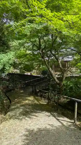 攝取院（摂取院）(京都府)