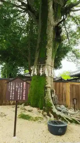 日限地蔵尊 観音院のその他建物