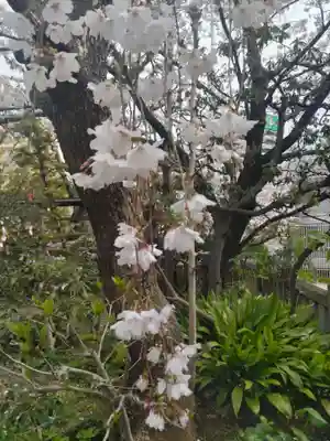一宮神社(兵庫県)
