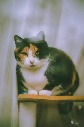 熊野那智神社(宮城県)