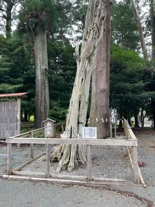 渭伊神社(静岡県)