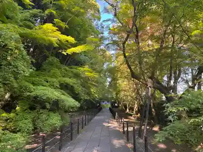 光明寺（粟生光明寺）(京都府)