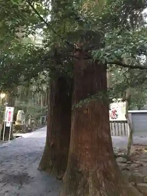 椿大神社(三重県)