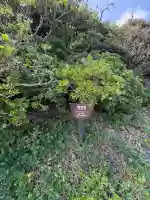 龍宮神社(龍宮厳)(高知県)