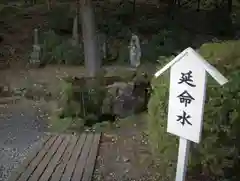 中禅寺の手水