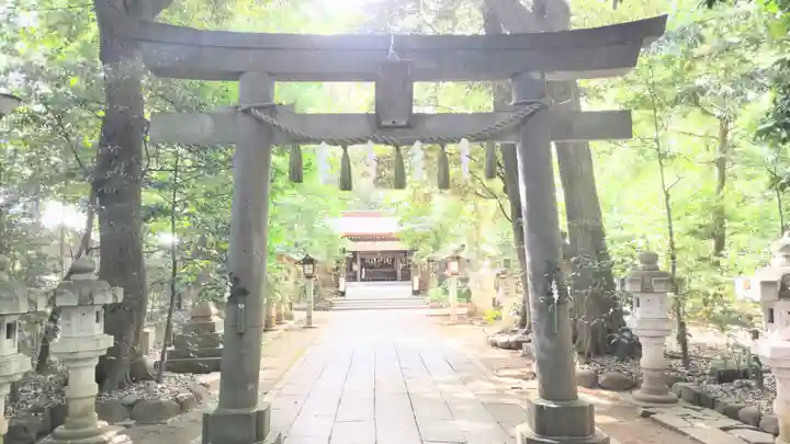 駒木諏訪神社の鳥居