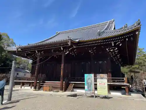 仁和寺(京都府)