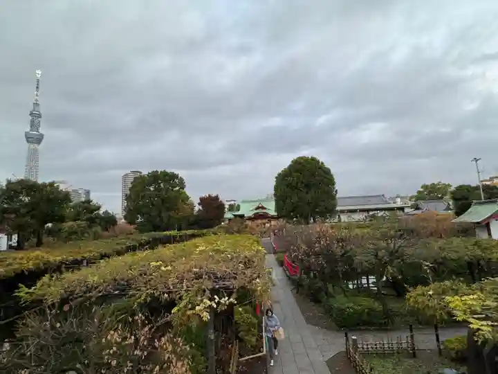 亀戸天神社(東京都)