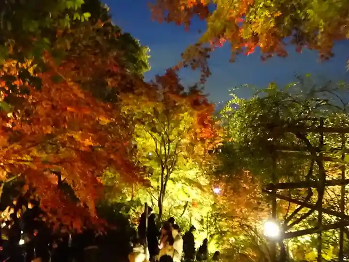 長谷寺(神奈川県)