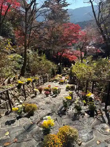 長谷寺(奈良県)