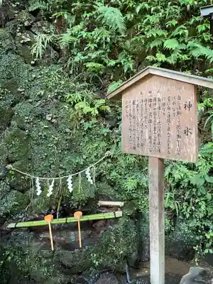 貴船神社(京都府)