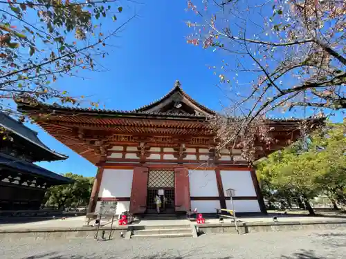 東寺（教王護国寺）(京都府)
