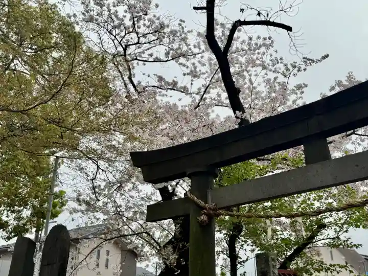 和田稲荷神社の{uncategorized: "未分類", other: "その他", undefined: "問題あり", building: "その他建物", grave: "お墓", sacred_gate: "鳥居", guardian: "狛犬", statue: "像", buddha: "仏像", history: "歴史", nature: "自然", garden: "庭園", animal: "動物", pagoda: "塔", temizu: "手水舎", mountain_gate: "山門・神門", sanctuary: "本殿・本堂", subordinate: "末社・摂社", art: "芸術", scenery: "景色", jizo: "地蔵", ema: "絵馬", goshuin: "御朱印", omikuji: "おみくじ", items: "授与品その他", amulet: "お守り", goshuincho: "御朱印帳", eats: "食事", festival: "お祭り", votive_dance: "神楽", shichigosan: "七五三参", wedding: "結婚式", experience: "体験その他", initially: "初詣", around: "周辺", anti_infection: "感染症対策"}