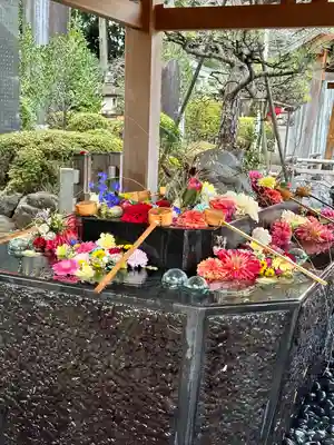 亀ケ池八幡宮(神奈川県)