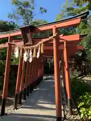 辛國神社(大阪府)