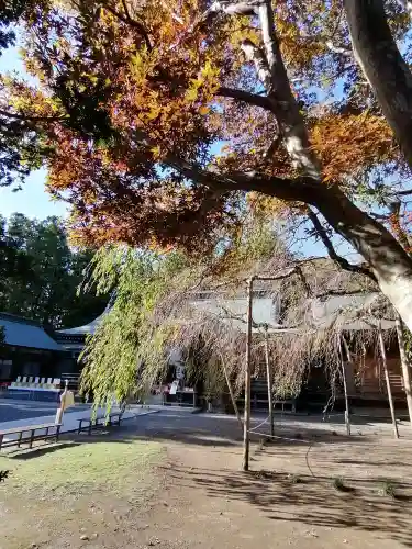 常陸第三宮　吉田神社の庭園