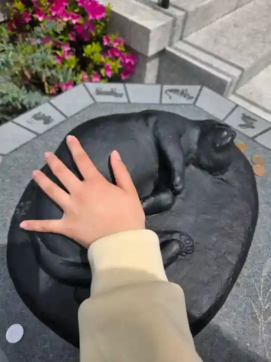 駒込妙義神社の{uncategorized: "未分類", other: "その他", undefined: "問題あり", building: "その他建物", grave: "お墓", sacred_gate: "鳥居", guardian: "狛犬", statue: "像", buddha: "仏像", history: "歴史", nature: "自然", garden: "庭園", animal: "動物", pagoda: "塔", temizu: "手水舎", mountain_gate: "山門・神門", sanctuary: "本殿・本堂", subordinate: "末社・摂社", art: "芸術", scenery: "景色", jizo: "地蔵", ema: "絵馬", goshuin: "御朱印", omikuji: "おみくじ", items: "授与品その他", amulet: "お守り", goshuincho: "御朱印帳", eats: "食事", festival: "お祭り", votive_dance: "神楽", shichigosan: "七五三参", wedding: "結婚式", experience: "体験その他", initially: "初詣", around: "周辺", anti_infection: "感染症対策"}